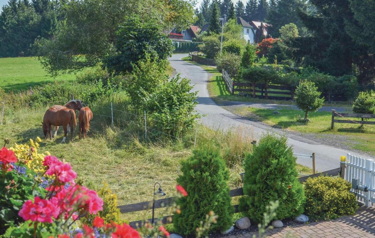 Galerie Haus Braunlage Exterior foto